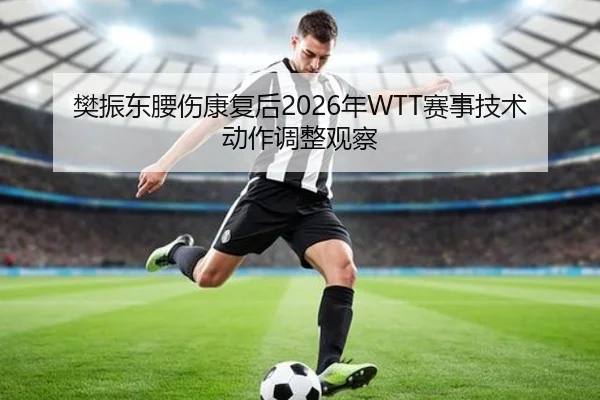 樊振东腰伤康复后2026年WTT赛事技术动作调整观察